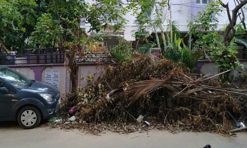 Locals irked as fallen branches not cleared