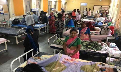 Telangana under the grip of dengue; nearly 5,500 positive cases in August
