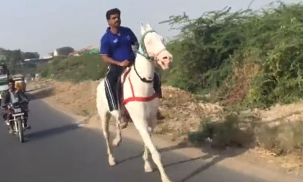 Watch: YSRCP MP Gorantla Madhav takes a horse ride at Hindupur