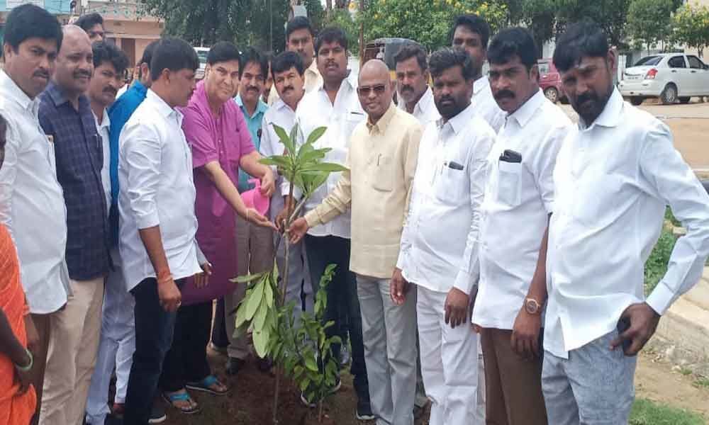 Plant saplings, protect nature: Ramana Chary