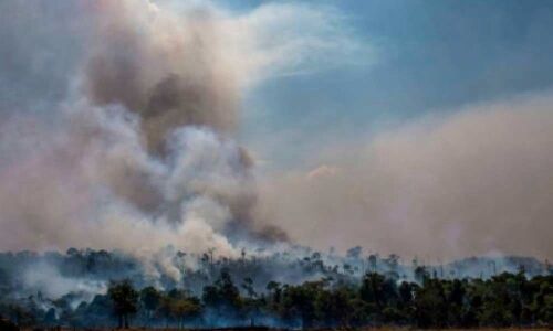 Five Amazonian countries to sign Amazon conservation pact