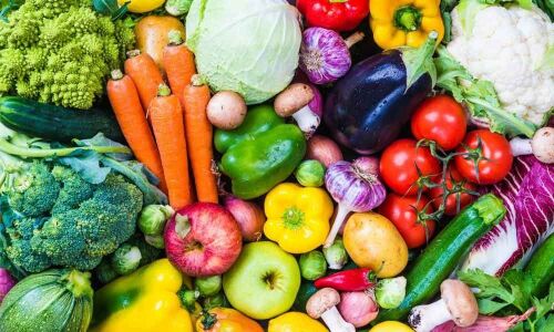 Professional athletes up their game by going vegan