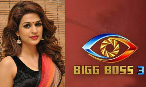 Bigg Boss Telugu Season 3: Shraddha Das Breaks the Silence!