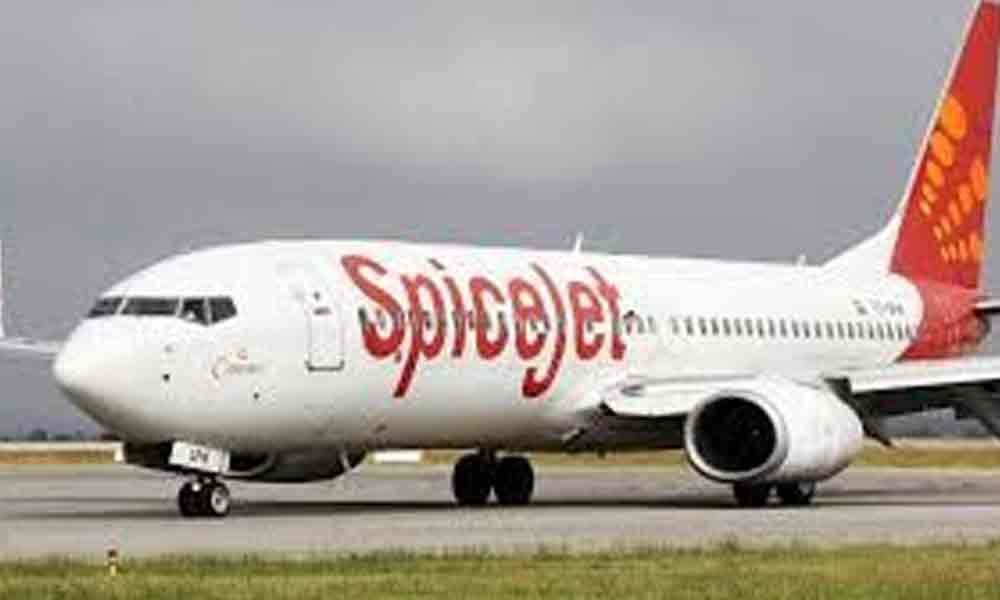 SpiceJet to launch Vijayawada, Chennai service from Nov 1