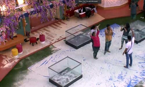 Bigg Boss Season 3: Did this contestant lose his positive image?