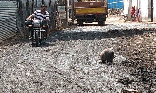 Six months on, road remains slushy