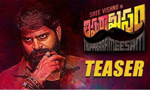 Sree Vishnu shows his fiery side