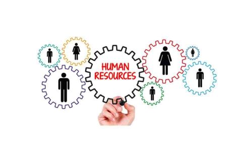 Technological adoption is key to successful human resource management: HR experts