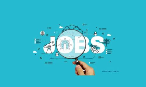 New job roles for best career development