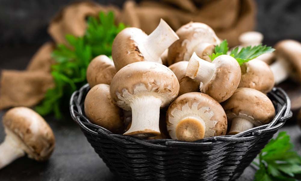 Eating mushrooms cuts prostate cancer risk: Study