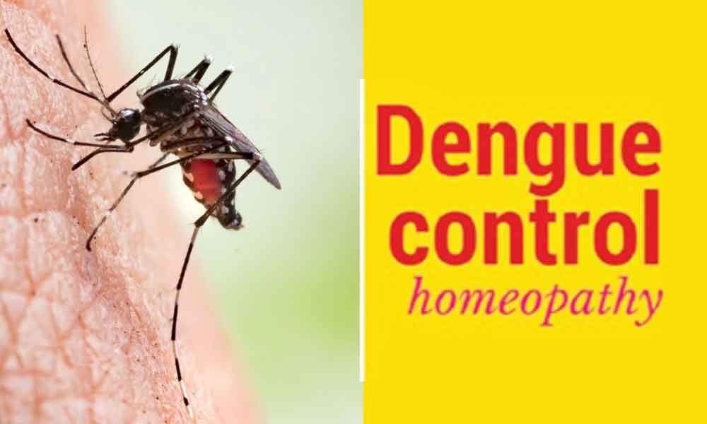 Government out to keep dengue, other fevers at bay with homoeopathy