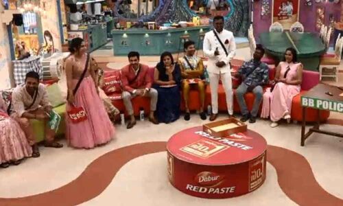 Bigg Boss Telugu: I Like Rahul But I Dont Love Him
