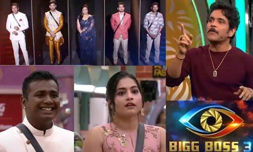Bigg Boss Telugu Season 3: Episode 49 Highlights