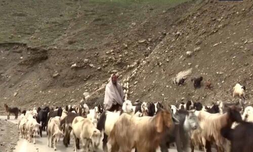 J&K Leader Asks PM Modi to Announce Special Package for Gujjar, Bakarwal Communities