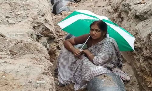 Vexed denizen stages novel stir