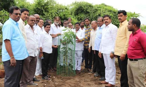 Haritha Haram conducted at Patancheru constituency