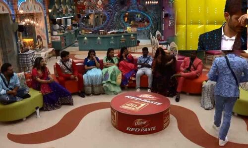 Bigg Boss Telugu Season 3: Irony In Alis Eviction From The House