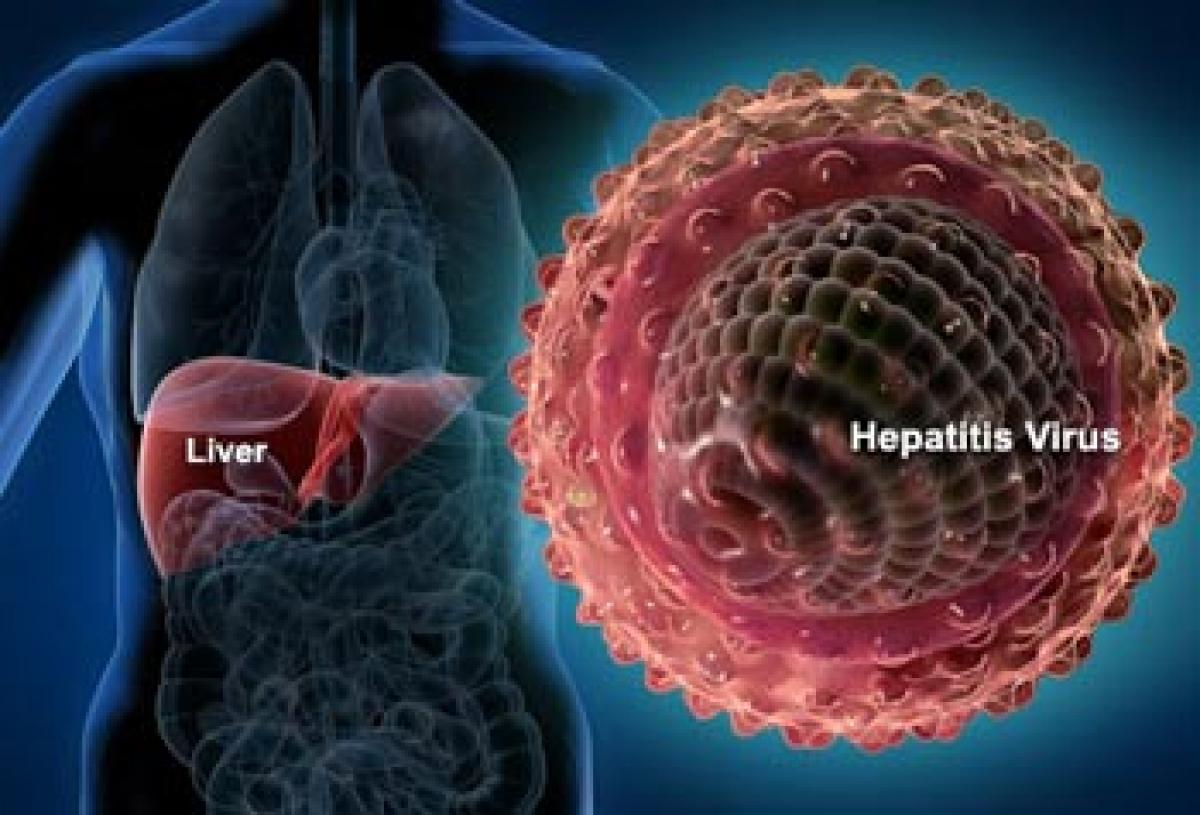 Hepatitis A virus likely of animal origin