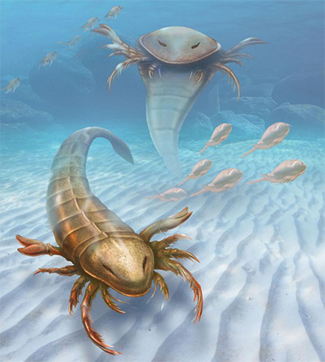 Meet monster like sea scorpion from ancient seas