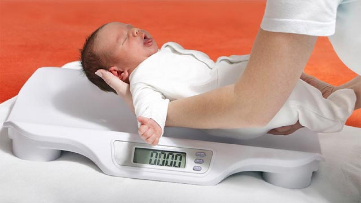 Very low weight infants prone to osteopenia