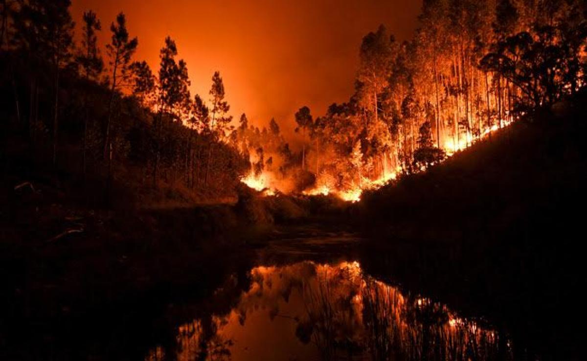 Massive Portugal Forest Fire Kills At Least 43, Injures 16