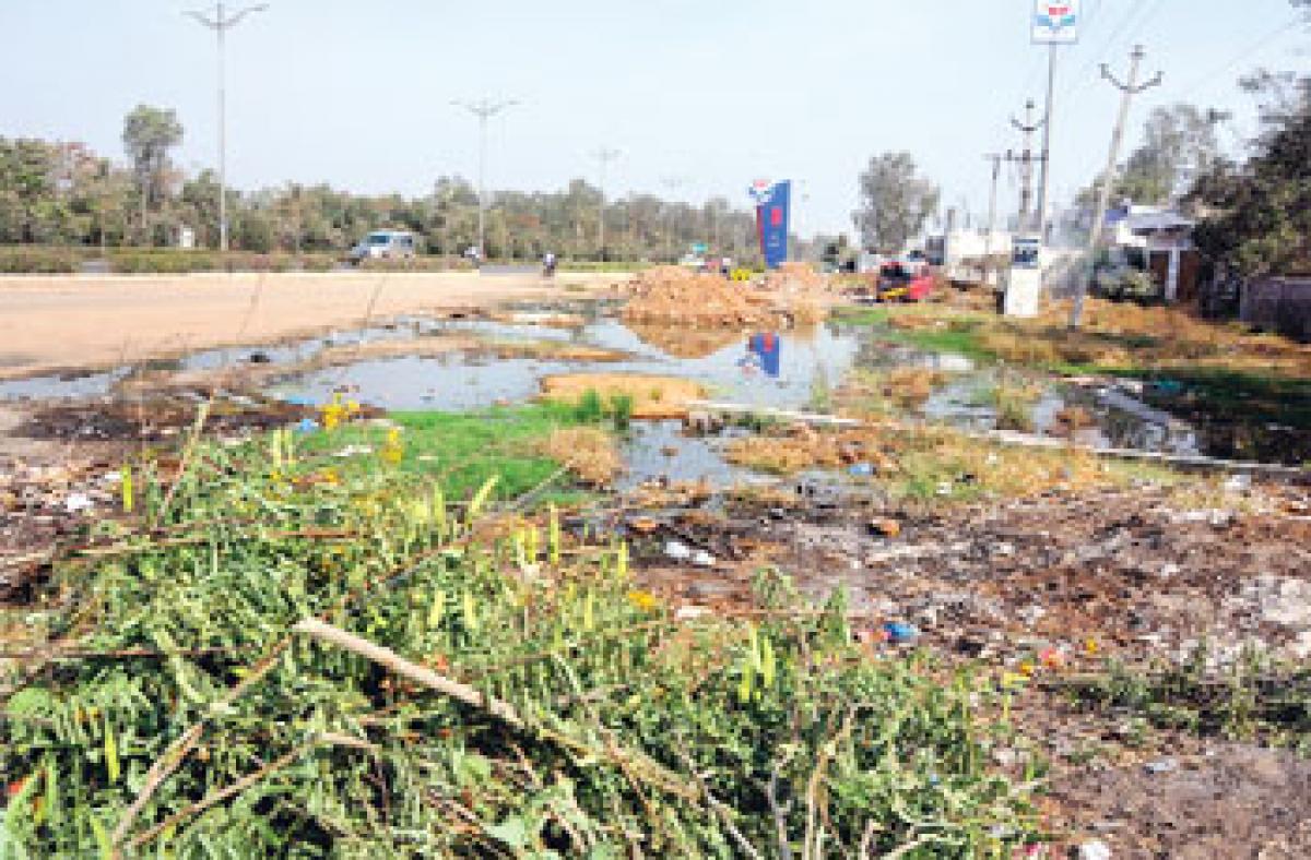 Colonies used as dump yards