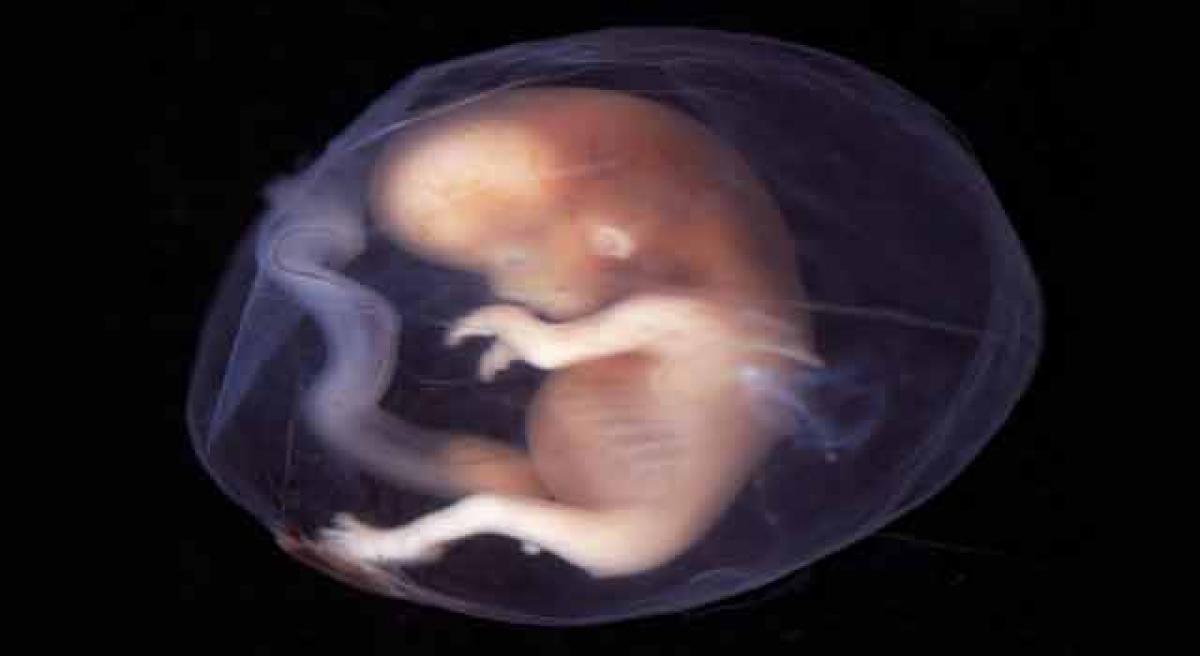 Vive la foetus foetal future