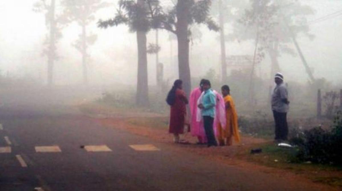 Temperature falls to 11 Degrees in Telangana