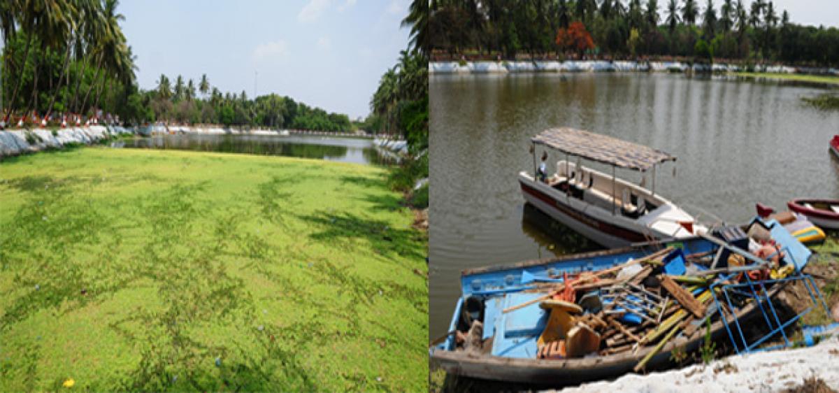 Indira Park’s lake is dying!