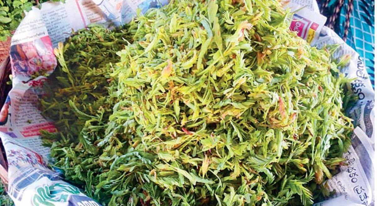 Tender tamarind leaves in demand