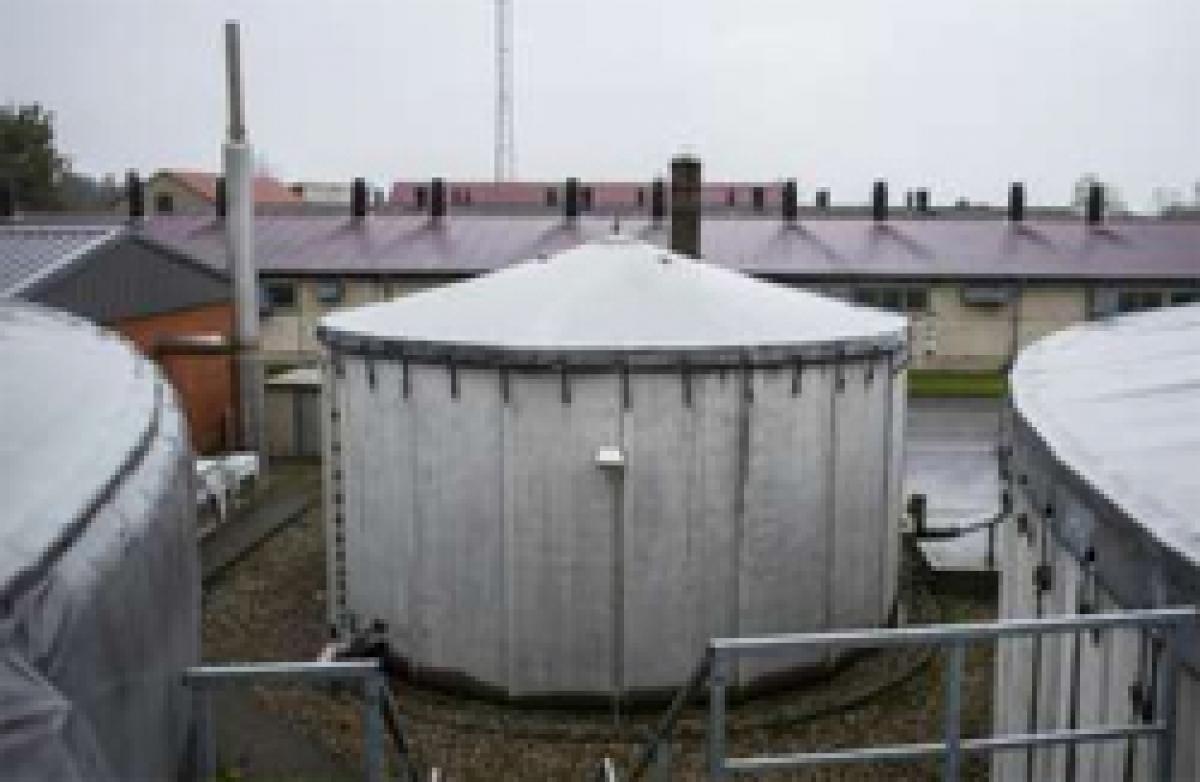 Gas produced by decaying human waste can provide electricity for millions of homes