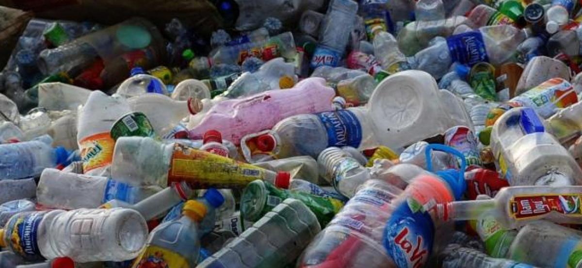 Japan scientists identify plastic eating bacteria