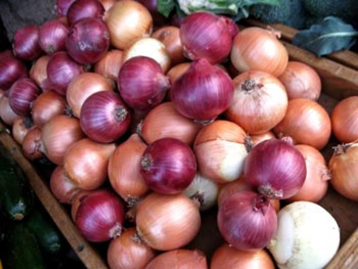 Govt introduces licence, MSP for onion growers