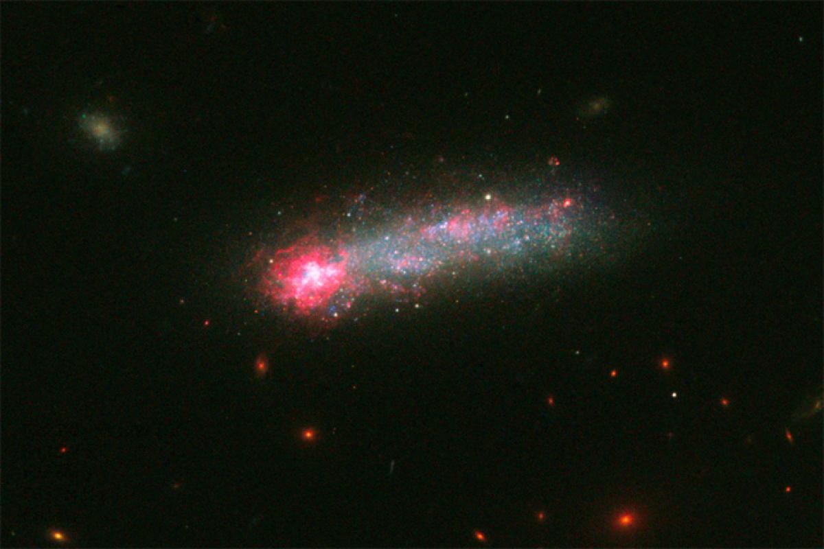 Checkout: Fireworks in skyrocket galaxy captured by Hubble Space Telescope