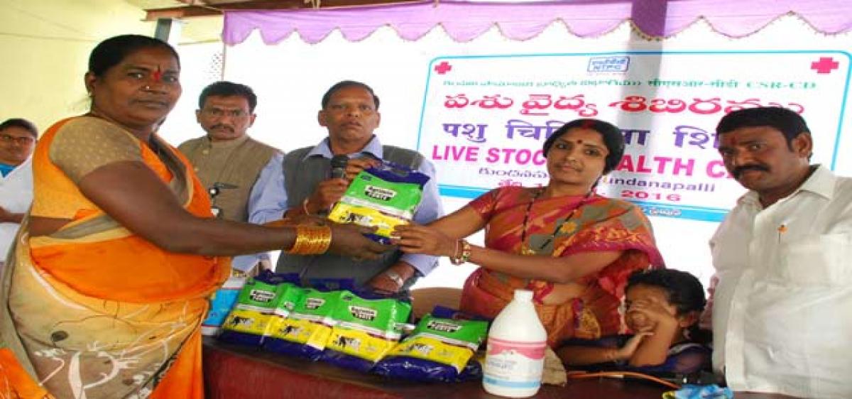 Livestock camp at Kundanpalli