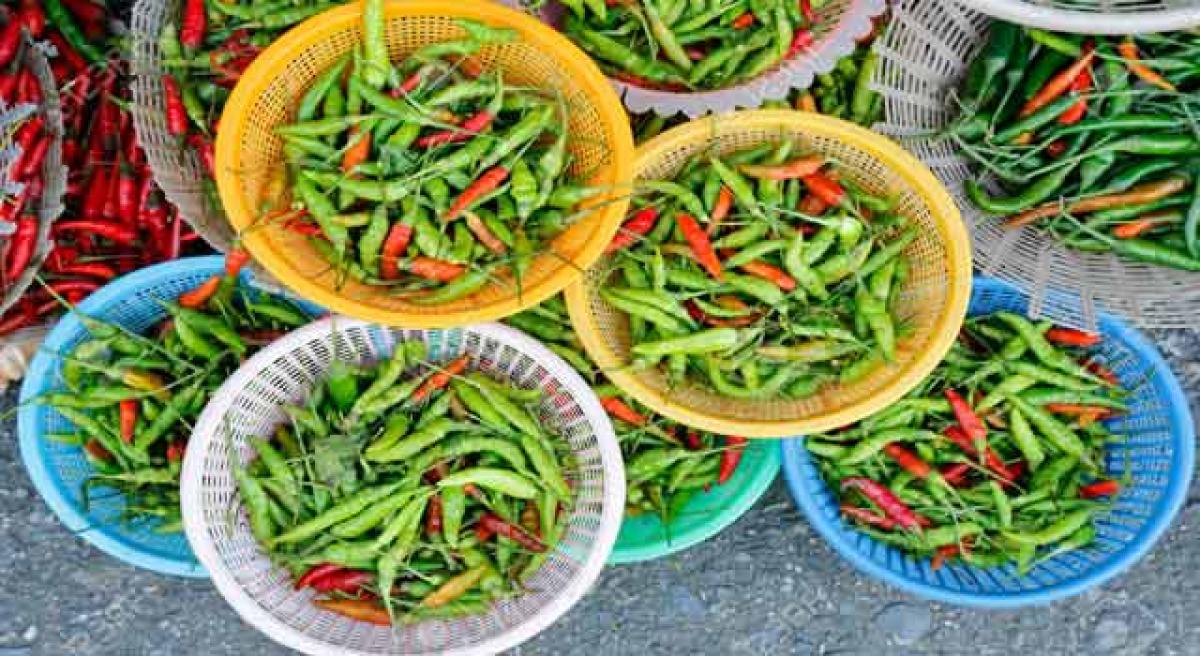 Green chilli prices hot up