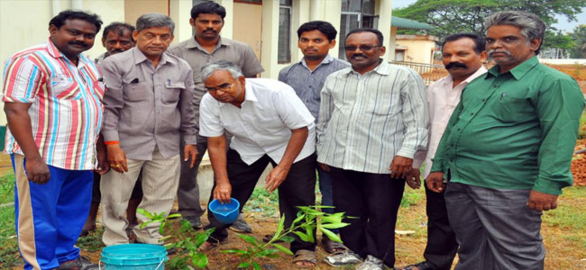 Government hospital to go green