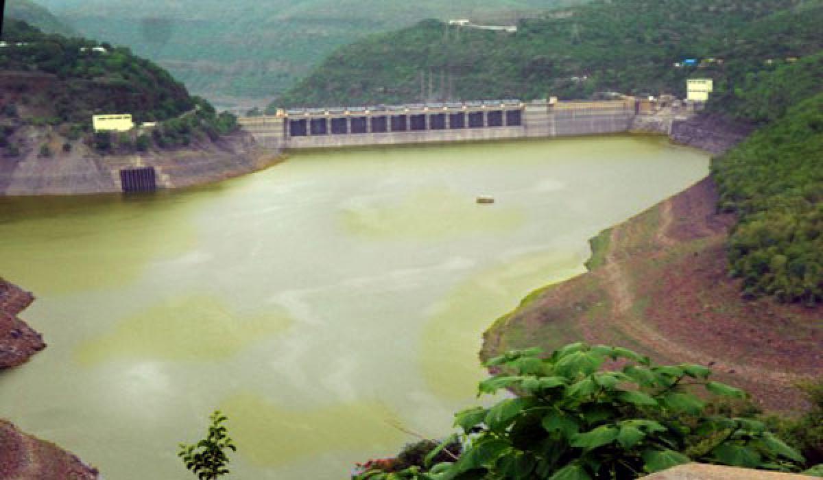 Experts warn threat to marine life in Srisailam reservoir