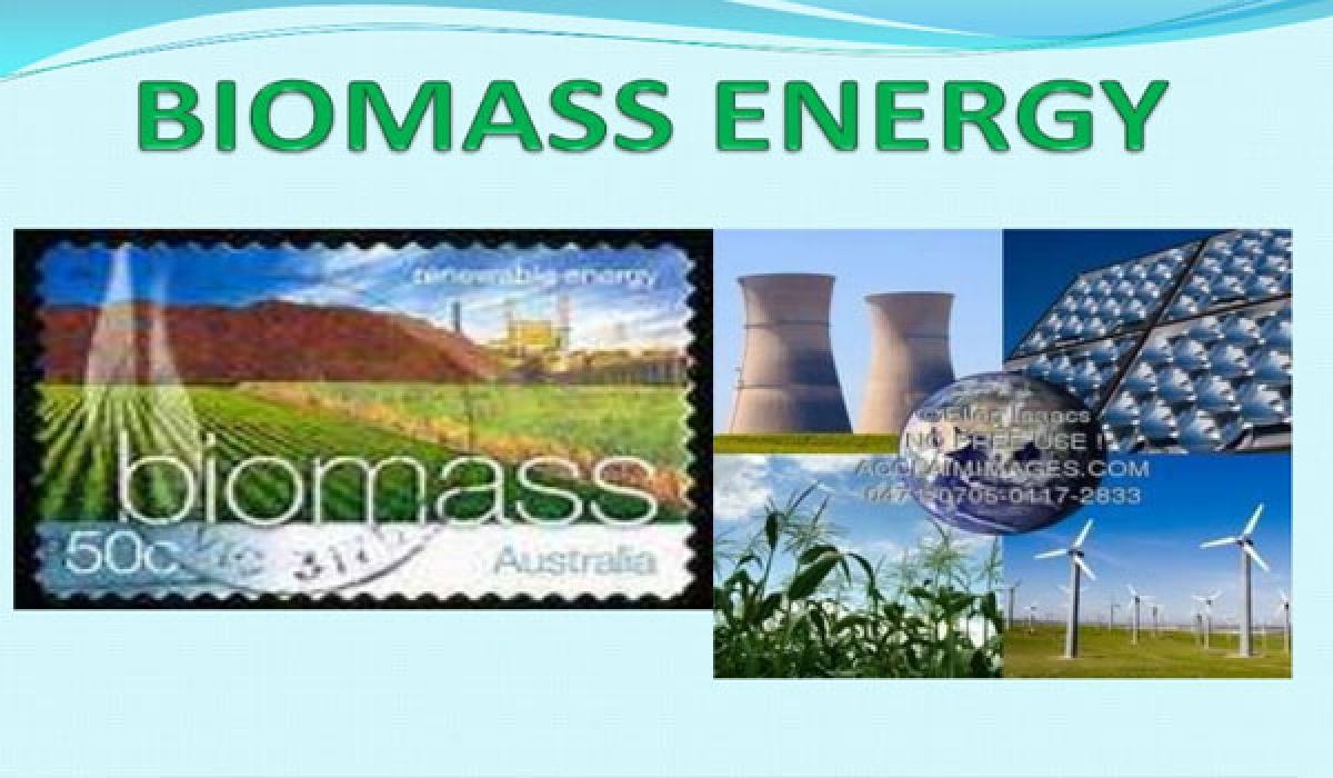 Move to tap biomass energy