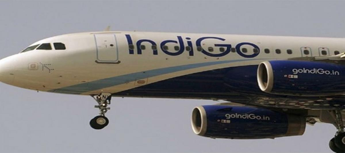 Soaring IndiGo seeks investors in battle for Indias skies