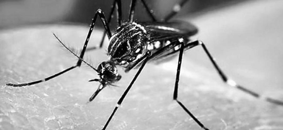 Zika virus symptoms, after effects