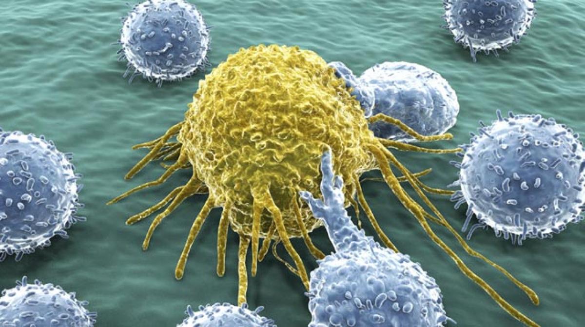 Prop up immune system to prevent cancer, says study