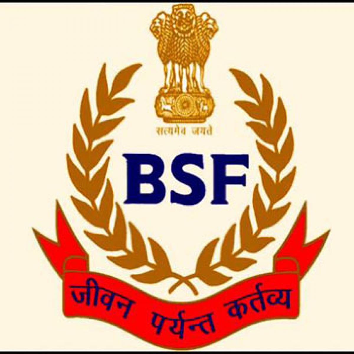 BSF Logo