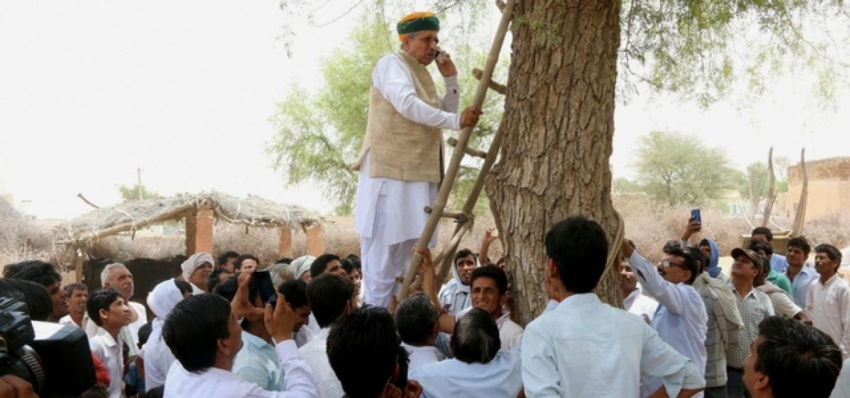 Minister climbs tree to speak on phone!