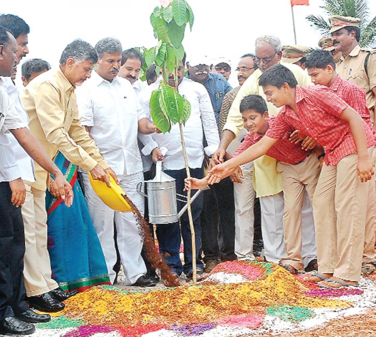 Chief Minister N Chandrababu Naidu bats for green cover