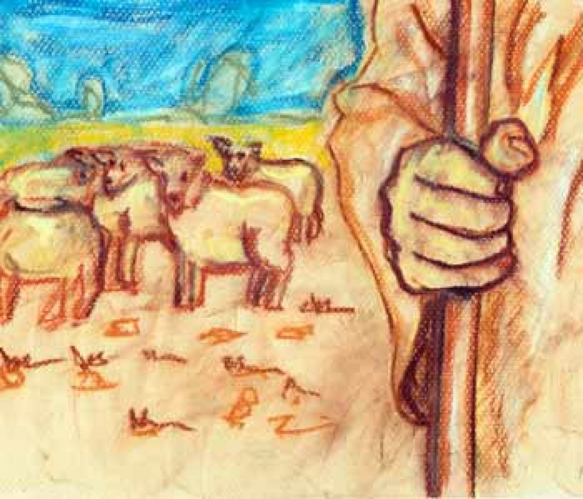 Feed the sheep or shepherd in corporate? An essential HR message