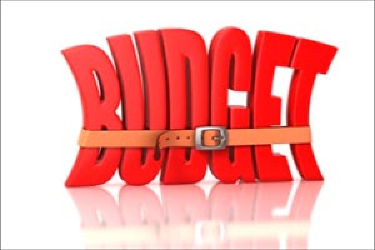 IAS babus crunch hits budget-making plan