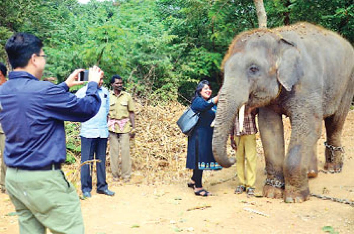 World Bank to aid Vizag zoo