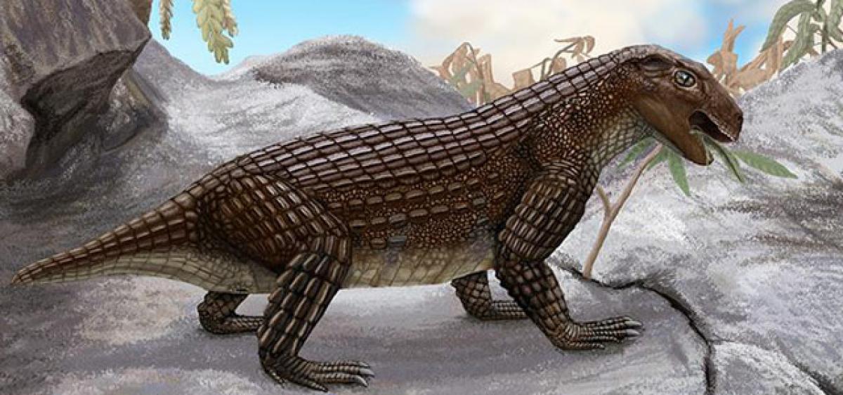 Early dinosaurs were similar to crocodiles
