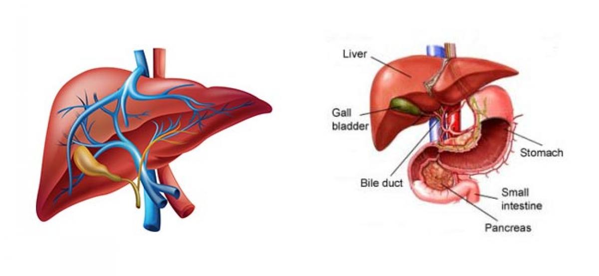 Take care of your Liver to live healthy